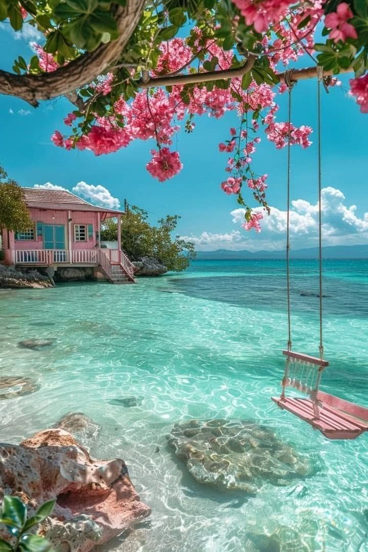 gallery-2 Imagem WhatsApp 2025 07 15 As 19.02.23 D01cf677