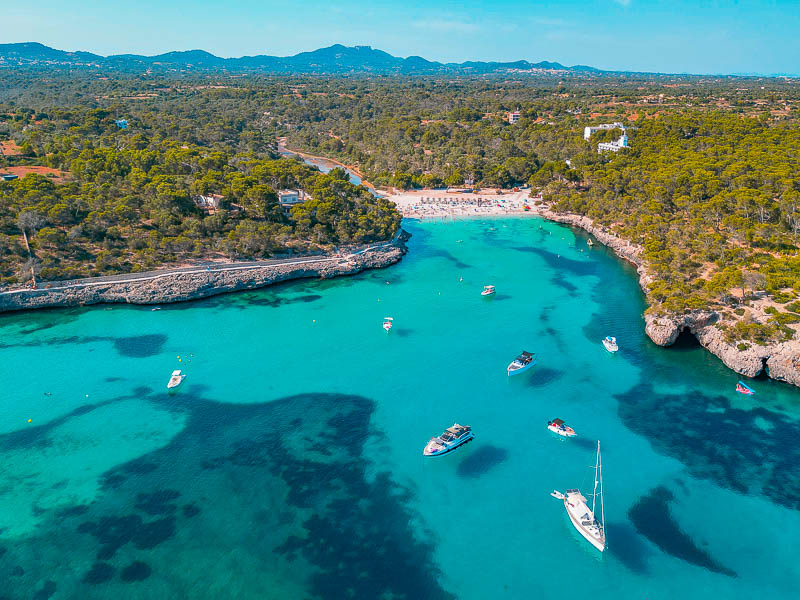 Maiorca